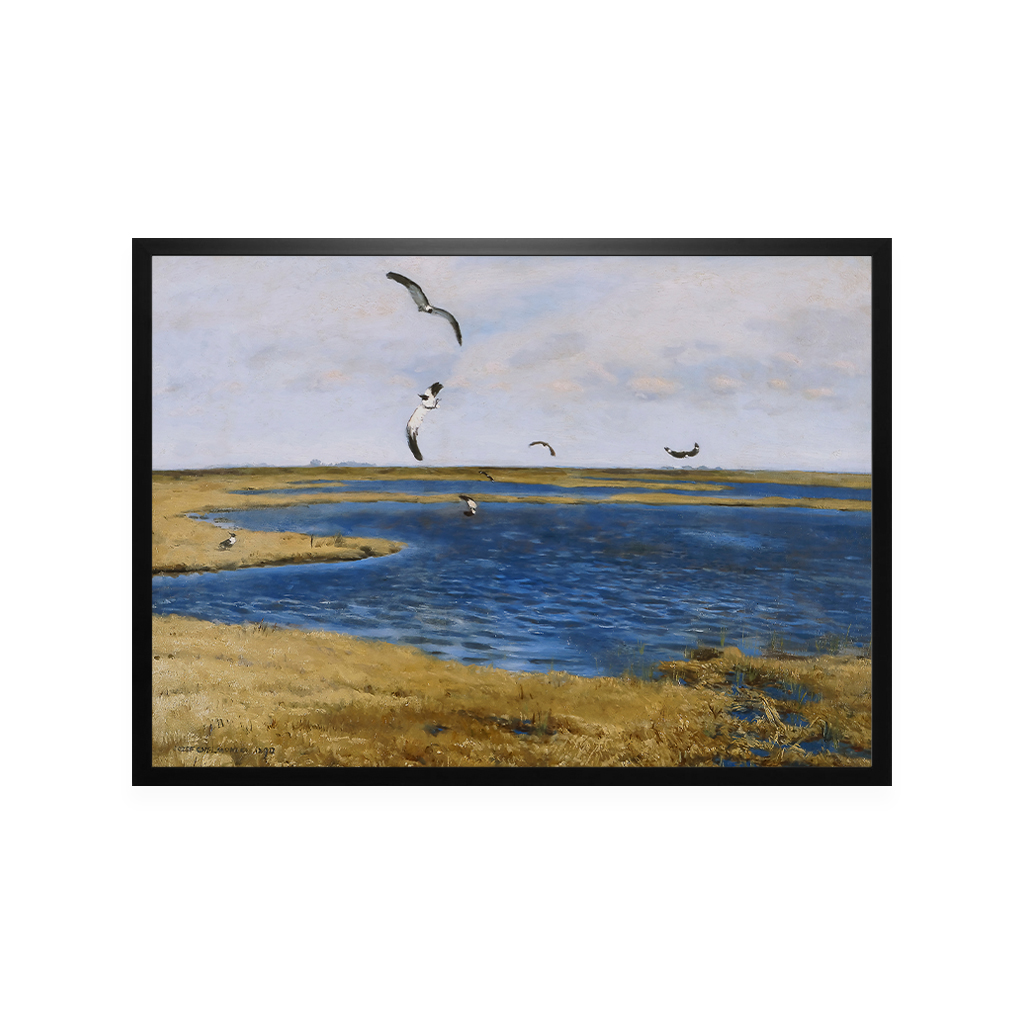 chelmonski_jozef_-_czajki_149-06_50x70_5900774945550