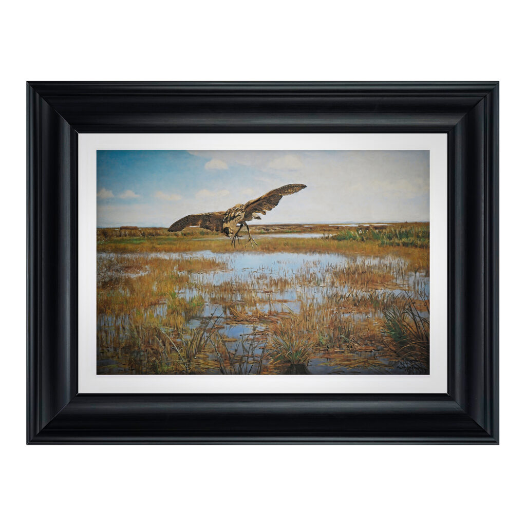 chelmonski_jozef_-_czapla_bak_1488-06T_50x70_poz