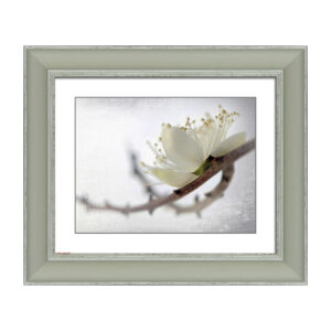 Spring season AL1489G