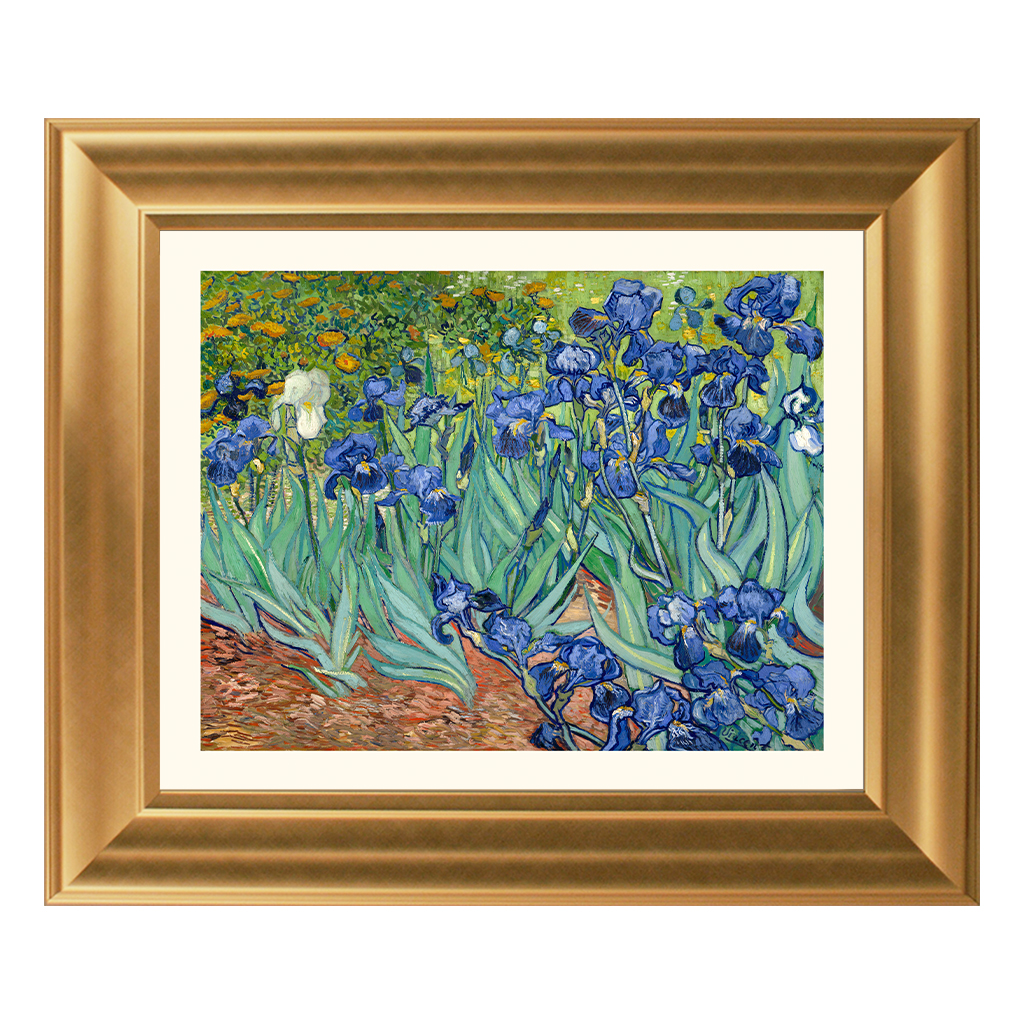 gogh_vincent_van_-_irysy_563-II-605_40x50_5900774945758