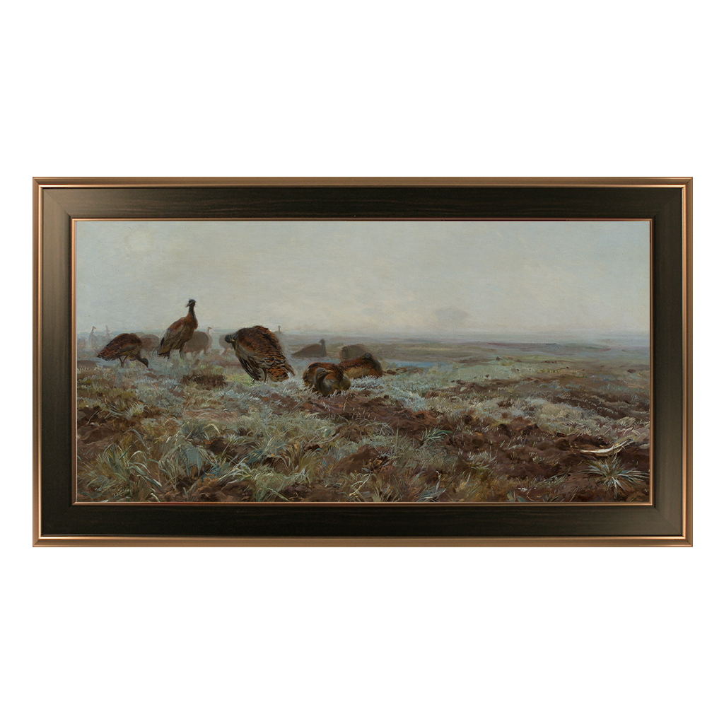 Chelmonski_Jozef_-_Dropie_714-012_50x100