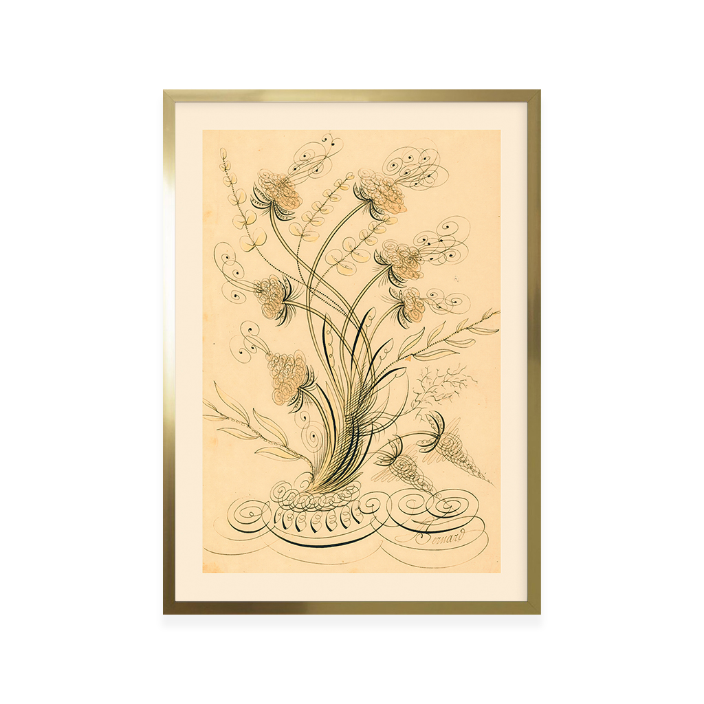 bernard_de_paris_jean_joseph_-_calligraphic_flowers_149-51G_50x70_all