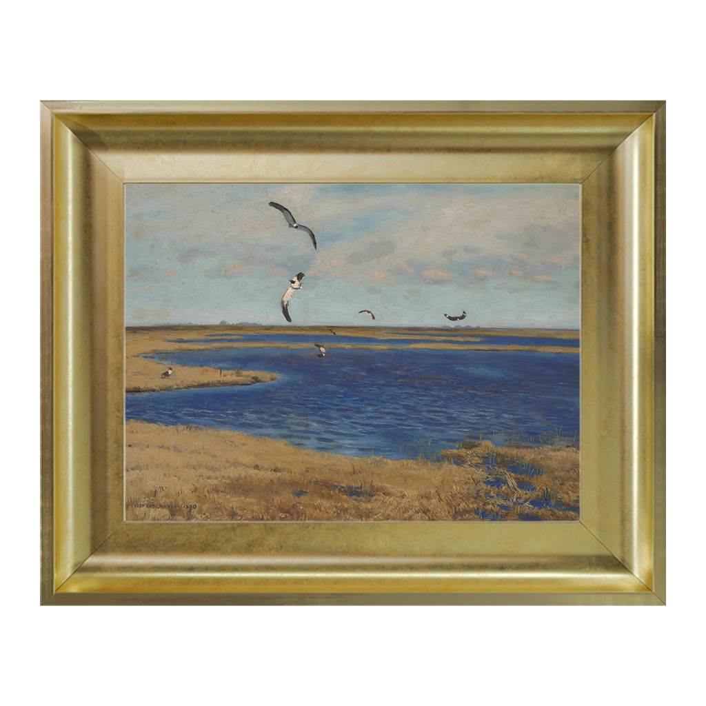 chelmonski_jozef_-_czajki_3179-00277_30x40_poz