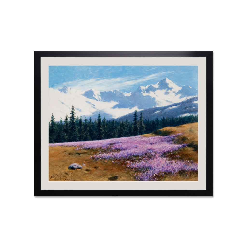 witkiewicz_stanislaw_-_krokusy_na_tle_snieznych_gor_149-06_40x50a