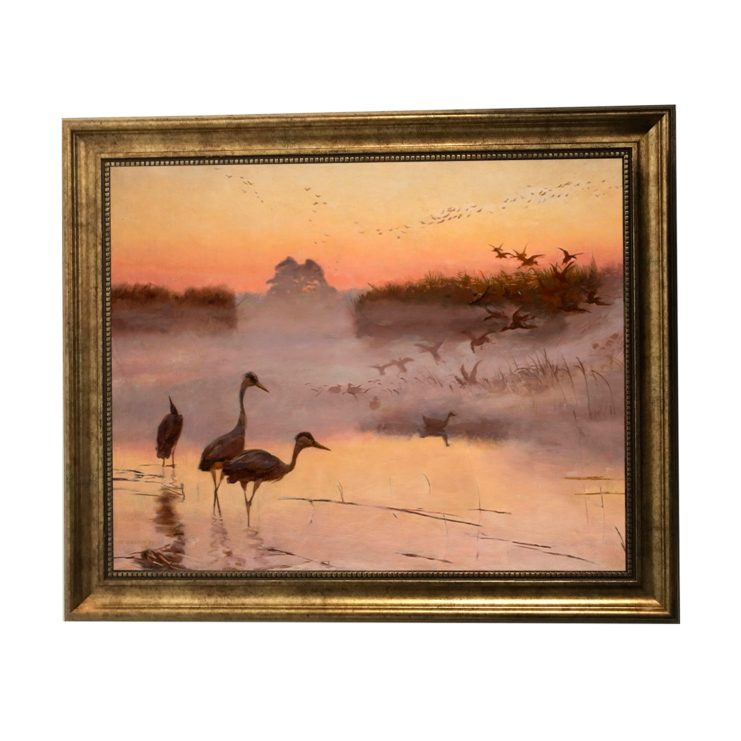 Chelmonski_Jozef_-_Swit_Krolestwo_ptakow_101-MX-446_40x50_poz2